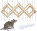 Kiln-Dried Wood Rat Climb Toy, Hanging Cage Ladder Activity (S, 1pc) | Natural Rat Cage Bridge, Multiple Openings & Directional Ramps Offer Challenges to Satisfy Rats' Instincts for Explore & Play - style: S, 1pc