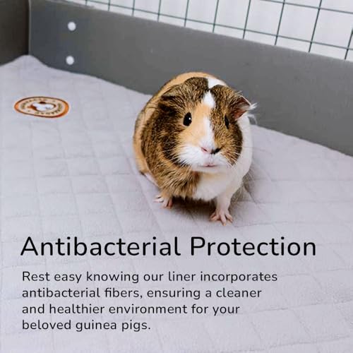 GuineaDad Pee Pads for Guinea Pigs & Bunnies – Ultra Absorbent Small Animal Pet Liners – Washable Guinea Pig Pee Pads for Cage – Eco-Friendly, Soft Fleece, Leak Protection (Pee Pads (3 Pack)) - size: Pee Pads (3 Pack)