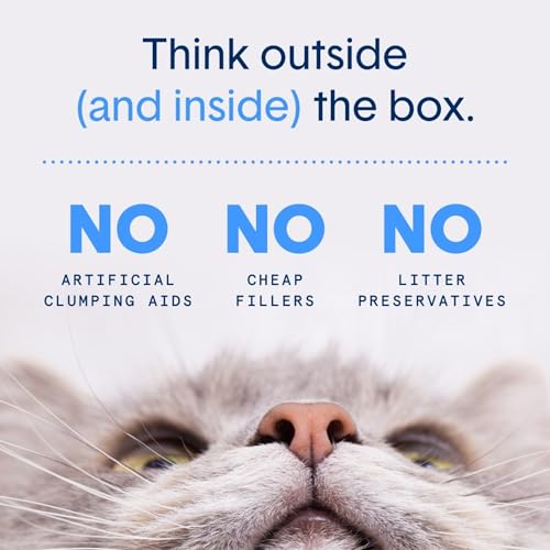 Boxie® Probiotic 40 Day Natural Odor Control Cat Litter, 16lb Clumping Clay Kitty Litter (Pack of 2) - size: 16 Lb (Pack of 2)