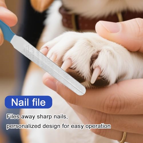 BOXOB Bearded Dragon Nail Clippers and File, Stainless Steel Small Animal Toe Nail Trimmer Scissors Professional Grooming Pet Tool for Reptiles Turtle Chameleon Iguana (Blue)