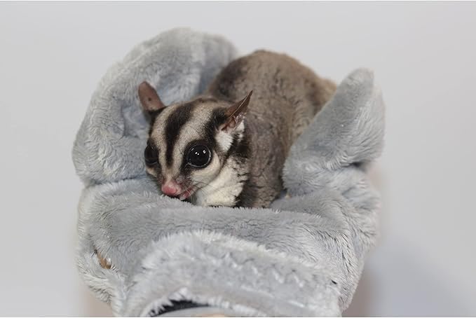 Exotic Nutrition Calming Glove (2 Pack) - Comfy Bonding Mitt for Sugar Gliders, Hedgehogs, Rats, Hamsters, & Other Small Pets - size: 2 Pack