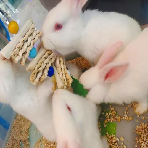 4pcs Bunny Chew Toys,Natural Chinchilla Chew Toys and Treats | Natural Chew Toys and Treats For Guinea Pigs Hamster Gerbils Chinchilla, Small Pets Rabbit Toys