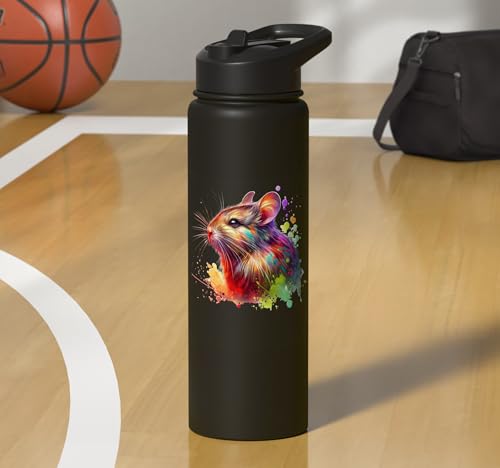 Degu Stainless Steel Insulated Water Bottle - color: Black