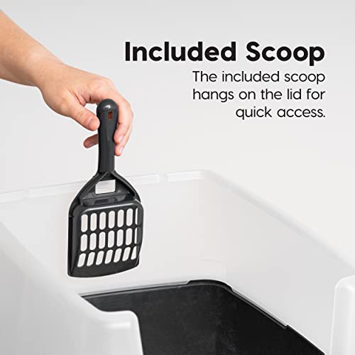 IRIS USA Large High Sided Cat Litter Box, Scatter Shield, Black | Active Cats, Tall Wall Protection, Kick-Proof Sides, Extra Deep Pan, Easy Daily Scoop, Keeps Floor Clean - color: Black, size: Open Top - 2 Pack