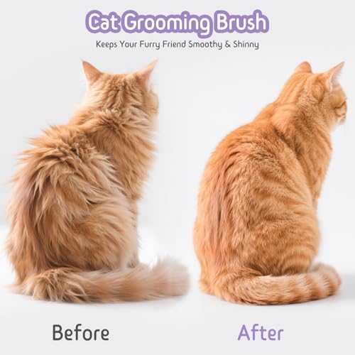 Dog & Cat Brush for Shedding, 2-in-1 Self Cleaning Deshedding Brush | Adjustable Bristle Length with Dematting Comb Skin Friendly Fur Shedding Removal Tool for Long Medium Long Hair Pets (Purple) - color: Purple