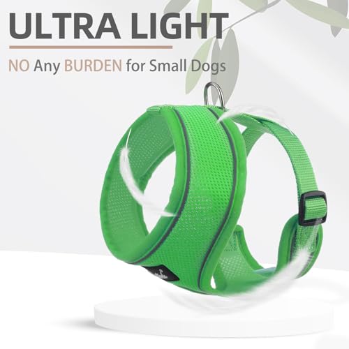 PUPTECK Soft Mesh Dog Harness and Leash Set Pet Puppy Cat Comfort Padded Vest No Pull Harnesses, Solid Green, S - color: Solid Green, size: S (NECK: 12", CHEST: 14"-18")