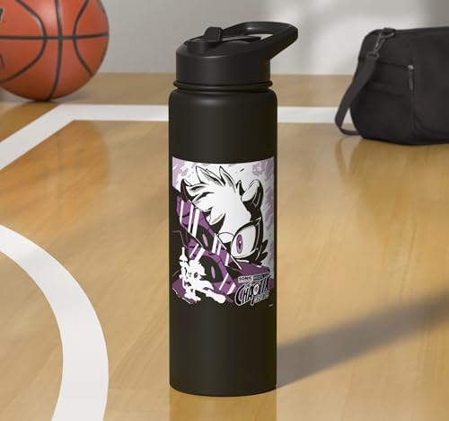 Sonic the Hedgehog Chaotix Casefiles Episode 3 Stainless Steel Insulated Water Bottle - color: Black