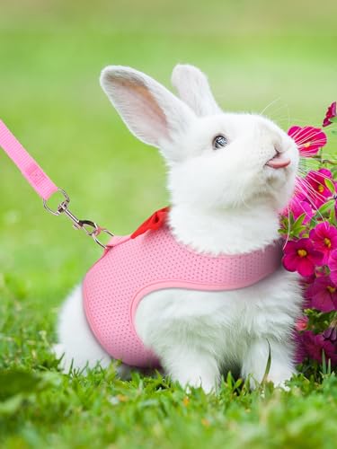 Rabbit Leash and Harness Set for Walking Escape Proof,Pink S | Mesh Breathable Adjustable Rabbit Leash Camping Hiking Training For Bunny Ferret Kitten Puppy - color: Pink, size: S Neck 5.5-7.1'', Chest 7.1-9.4''