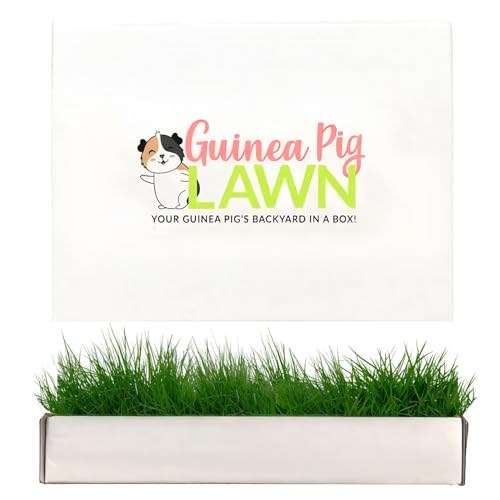 Guinea Pig Pee Pads, Fresh Grass Mat, Hamster Small Pet Bed 12x9 | Hydroponically grown grass with 2x the grazing area - great for guinea pigs, hamsters, hedgehogs, and multi-pet households - size: 12x9 Inch (Pack of 1)