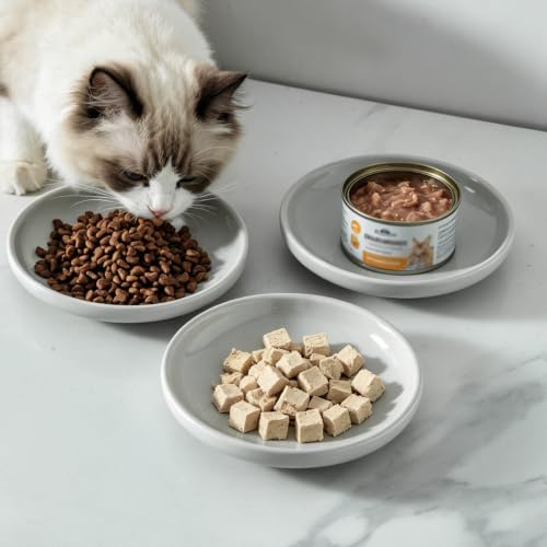 3 PCS Ceramic Cat Bowls, 5.5 in Pet Food Bowl Cat Dishes for Food and Water, Small Dog Dish(Grey) - color: Grey