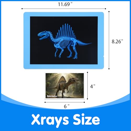 15 Pcs Dinosaur Xrays & Creatures Cards - Light Table Toys | Mythical Creatures Science Kit for Role Play - style: Dinosaur Series