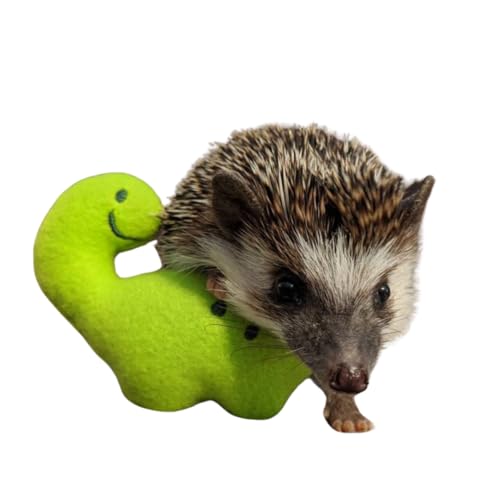Billy the Bronto Dino Chibi Kawaii Mint Stuffed Fleece Hedgehog Rat Guinea Pig Degus Chinchilla Enrichment Toy Small Animal Photo Prop Cage Buddy Mint Stick Alternative