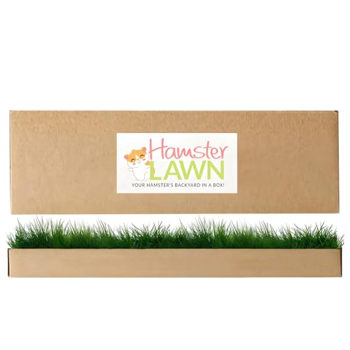 Natural Grass Patch for Guinea Pig, Hamster, Rabbit, Grande 24x9 | All-natural, disposable grass bed for indoor/outdoor use - supports burrowing, foraging, and chewing instincts in small pets - size: Grande