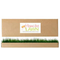 Natural Grass Patch for Guinea Pig, Hamster, Rabbit, Grande 24x9 | All-natural, disposable grass bed for indoor/outdoor use - supports burrowing, foraging, and chewing instincts in small pets - size: Grande