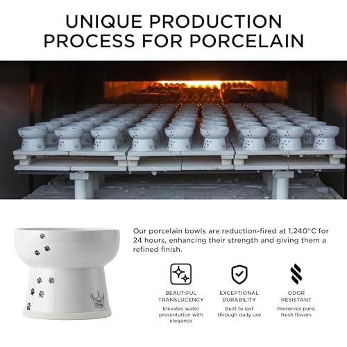 NECOICHI Raised Cat Water Bowl, Elevated, with Measurement Lines, Dishwasher and Microwave Safe (Cat, Extra Tall) White - color: Cat, size: Extra Tall