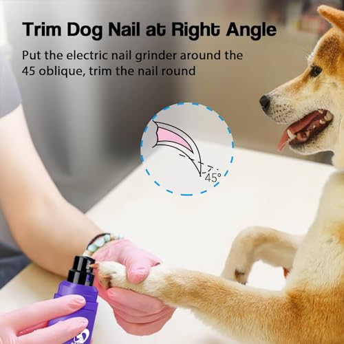 Casfuy Dog Nail Grinder Upgraded - Professional 2-Speed Whisper-Quiet Electric Pet Nail Trimmer Painless Paws Grooming & Smoothing for Small Medium Large Dogs & Cats (Purple) - color: Purple