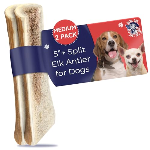 Devil Dog Pet Co Split Elk Antlers for Dogs, Medium 2 Pack, Long Lasting | Naturally shed Grade A elk antler split for marrow access, single ingredient, 7/10 hardness, 5 in+, up to 40 lb - style: split - Medium - 2 Pack