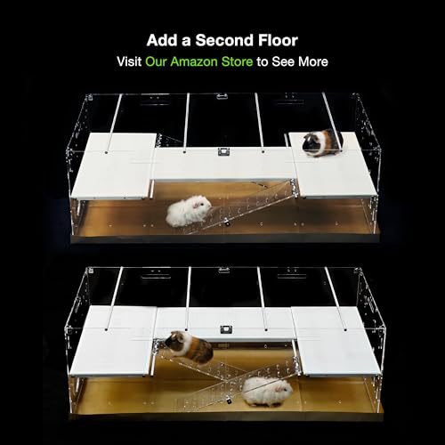 GuineaLoft™ Model-A3Loft 2-Level Acrylic Guinea Pig Cage w/Loft | Includes 2nd Floor Loft, Ramps, Beams & Gauze Lid; Large 4'x2'x1.3' Expandable C&C Cage Also Works for Bunnies & Hedgehogs - color: Model-A3
