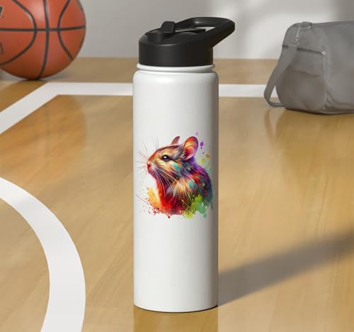 Degu Stainless Steel Insulated Water Bottle - color: White