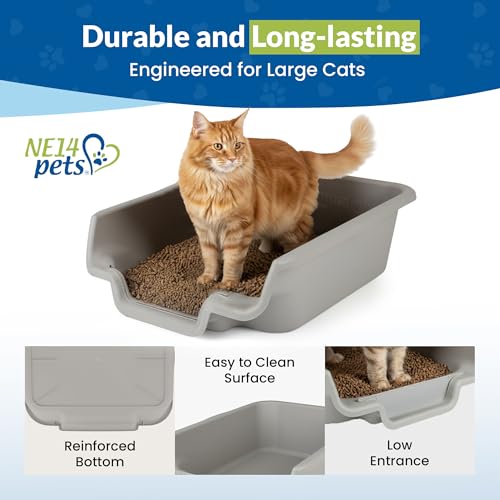 KittyGoHere Senior Cat Litter Box, Jumbo Litter pan, Open Top Low Entrance Kitty Litter Box, Lightweight Low Entry Litters Box, Durable, Made in USA (2 Pack - Misty Gray) - color: Misty Gray, size: Jumbo(2 Pack)