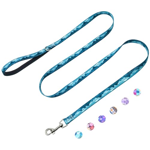 5ft Nylon Dog Leash with Soft Neoprene Handle for Small Dogs, Blue Sunset - color: Blue Sunset, size: 5/8in x 5ft - Single Handle