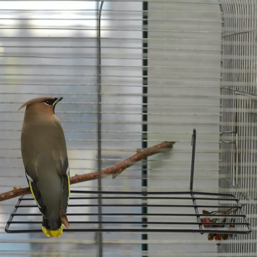 Balacoo 3 Pcs Bird Cage Stand: Metal Bird Wire Platform - Parrot Grid Perch for Cage - Portable Small Animals Training Stand for Budgie, Parakeet, Cockatiel, Hamster