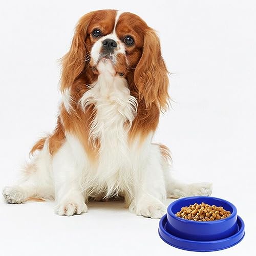 Ants Away Dog Bowl Cat Puppy Food Bowls Round No Spill Yellow S | Ant proof, safe food-grade plastic, anti-slide bottom, ant-block moat barrier, standard feeding size for Cats and Puppies - color: Yellow, size: Small