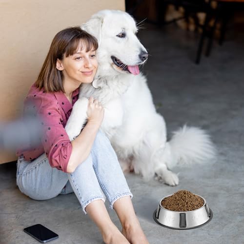 8 Pack Stainless Steel Dog Bowls Metal with Rubber Base Non-Slip Pets Puppy Cats Feeding Food and Water Bowls Dishwasher-Safe for Indoor Small Medium Large Dogs Cats Kitten Rabbit(18.6 oz) - size: 18.6 oz
