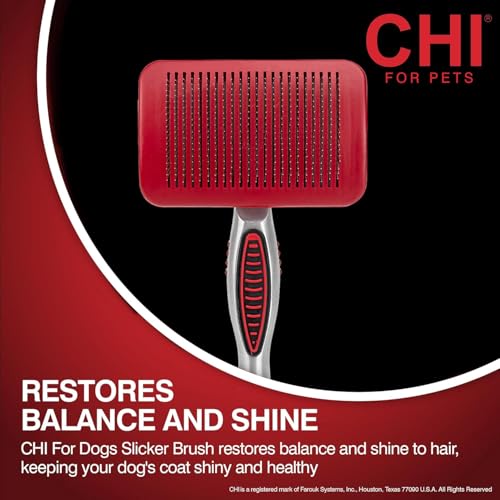 CHI for Dogs Self Cleaning Slicker Brush with Pivoting Head, Small Dog Grooming Brush for Detangling and Removing Loose Hair, Fine Wire Pins for Small Breed Dog Coats, Ergonomic Handle - 3 Pack | Pivoting head design, fine wire pins, detangles and removes