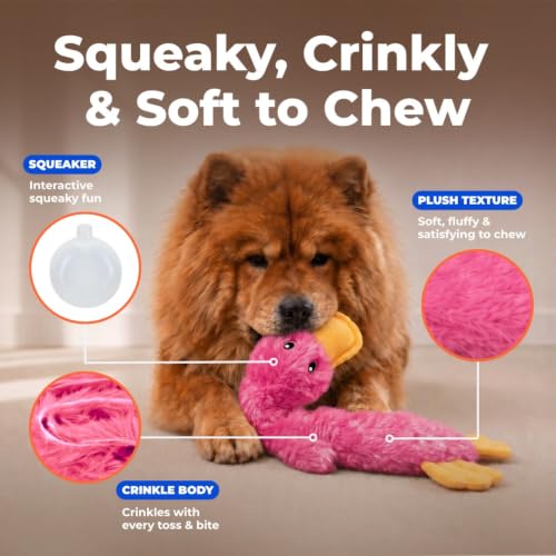 Best Pet Supplies Interactive Squeaky Dog Toy - Crinkle Duck, Pink | Stuffing Free Body, Soft, Squeaks & Crinkles, No Mess, Perfect for Moderate Chewers, Toss and Fetch Play - color: Crinkle Duck (Light Pink), size: Large