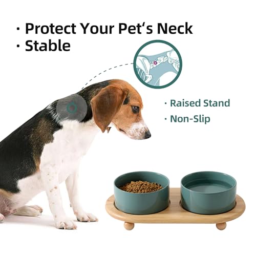 Havniva Raised Cat Bowl, 6.1” Elevated Ceramic Cat Food and Water Bowl Set | Cat Bowls Elevated, Whisker Friendly Cat Bowl, Non-Slip Wood Stand, Food-Grade Ceramic, Wide Opening, Dishwasher Safe - color: 2 x Bowl + Stand - Dark Green, size: 6.1inch