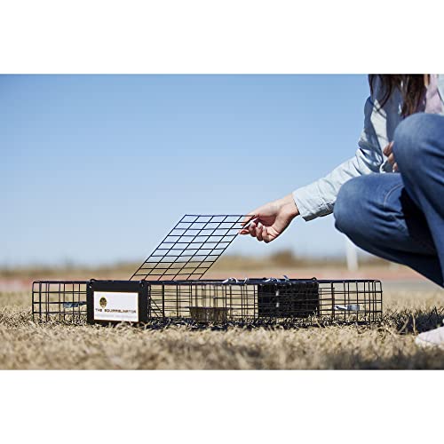 Rugged Ranch 2‑Pack Squirrelinator Multi‑Catch Squirrel Trap with Basin, Wire Cage, 25"x15"x6.5" Each - Live Catch‑and‑Release, 2‑Door Humane Rodent Control, No‑Poison Outdoor Use - color: Squirrel w/ Basin, size: 2 Pack