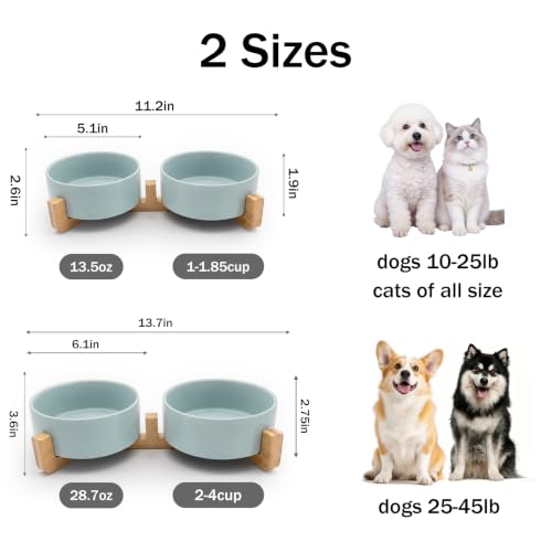 MateeyLife Ceramic Dog and Cat Bowls with Stand, 2-Pack Food and Water Bowl Set - Non-Slip Pet Bowls for Cats,Puppies and Small Dogs, 13.5OZ（Green） - color: Green, size: S-1.5Cup