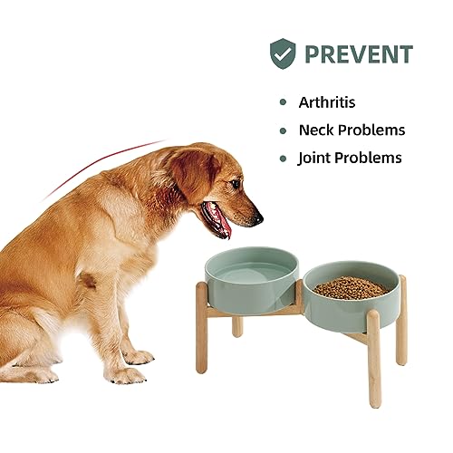 Havniva Elevated Dog Bowls Ceramic Dog Bowls with Stand, Dog Food Bowl | 8.3” Raised Dog Bowls with Non-Slip Wood Stand, Dog Food and Water Bowl Set, Double Dog Feeding Bowls for Large Dogs - color: 2 Bowls+Stand - Light Green, size: 8.3inch