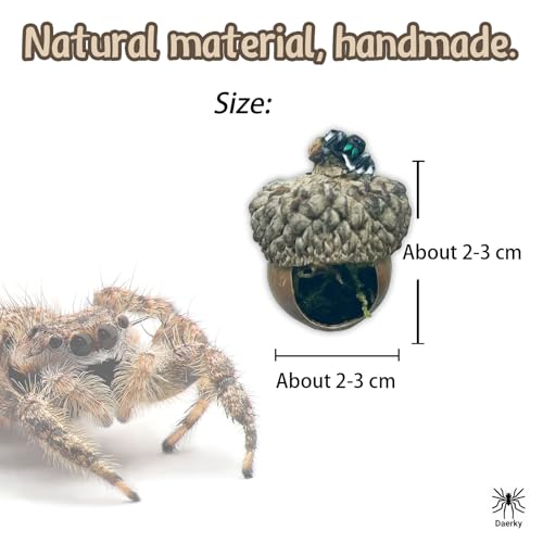 Jumping Spider Hide & Hideaway Made from Real Acorns | Handmade Magnetic Spider Cave, Ideal Habitat Accessory for Small Animals, Natural Decoration for Enclosure. 3 Pack (Round Acorn)