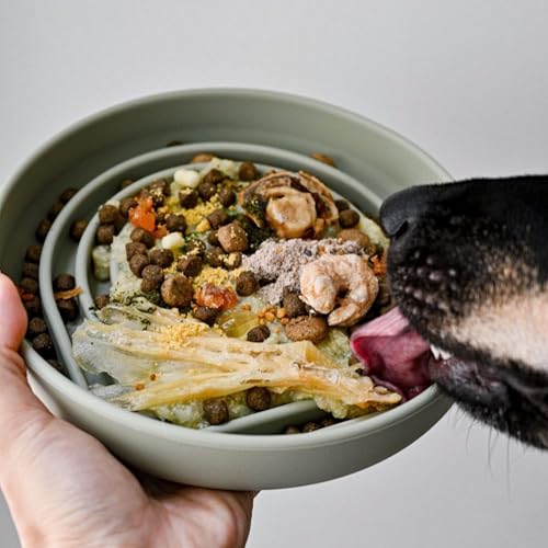 Slow Feeder for Dogs & Puppies, The Slowdown Bowl Silicone Slow Eating, Modern Lick Mat Design, Reduces Gulping, Fits 2 Cups, 7.5” Across x 1.5” Tall, Mealtime Challenge, Medium-Sage - color: Sage - Rainbow Design, size: Medium (7.5” Across x 1.5” Tall)