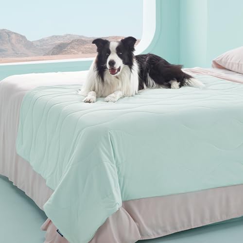 Bedsure ArcticMax™ Q-MAX>0.5 Premium Cooling Blanket for XL Dog，50x60” | Breathable Summer Washable Throw, Dog Blanket Cooling Mat Pad, Soft Durable Cold Self Cooling Pet Mat for Hot Weather，Green - color: Turquoise Green, size: XL(50x60")