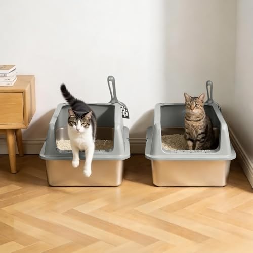 Kirecoo 2 Pack Large Semi-Enclosed Stainless Steel Cat Litter Box with Lid | Scoop Included, Sturdy Metal Box, Anti-Leakage, Odor Free, Easy to Clean, For Big Cats & Kittens, Multi-Cat Friendly - size: Large