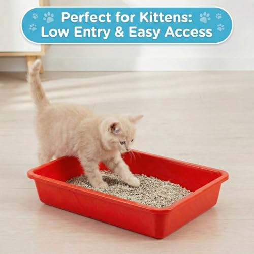 5Pcs Kitten Litter Boxes, 1.57 inch Low Entry Litter Box with Scooper, Portable Litter Box Shallow Litter Pan Open Travel Kitten Boxes for Small Cat, Hamster, Rabbit, 5Colors