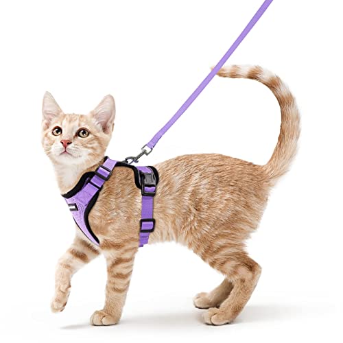 rabbitgoo Cat Harness and Leash Set, Escape Proof Vest, Light Purple | Soft Breathable Mesh, Easy Adjustable Fit, Snap Buckles, Sturdy Clip, Reflective Strips, for Small & Average Cats Walks, Xs - color: Light Purple, size: Xs