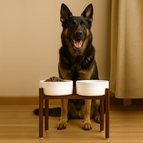 SPUNKYJUNKY Raised Ceramic Dog Bowls Set with Non-Slip Acacia Wood Stand for Large Sized Dog(60.87 OZ, White) - color: White, size: 60.87 Oz