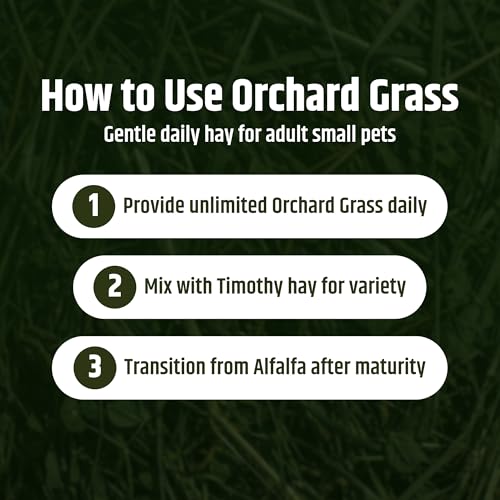High Desert Orchard Grass Hay for Rabbits, Guinea Pigs, Chinchillas, 4 lb | Soft Leaf Low Protein Forage, Ideal For Adult Or Overweight Pets, Great Alfalfa Alternative, Hand Packed in the USA, Low Dust
