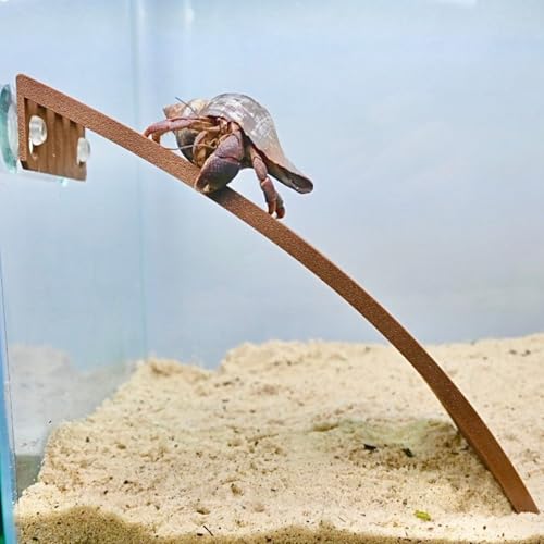 Hermit Crab Ladder Ramp Climbing Toy | Hermit Crab Tank Enrichment Decor | Hermit Crab Decoration Accessories Supplies Toys Ornaments