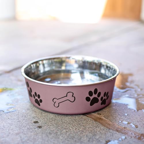 Loving Pets Bella Dog Bowls- Stainless Steel Dog & Cat Bowls - Spill Proof Dog Food Bowl, Cat Bowl, Puppy Essentials & Pet Supplies Great for Home & Travel (Medium 20-35 lbs, Grape) - color: Grape, size: Medium (20-35lbs)