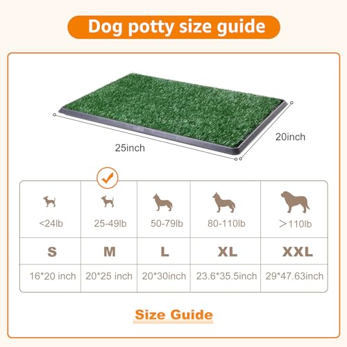 LOOBANI Dog Grass Pad with Tray - 20×25in for Potty Training | 2 Replacement Fake Grass Pads, Easy to Clean, Dog Litter Box, Balcony/Apartment/Indoor/Outdoor Use - size: Tray Potty 20*25inch
