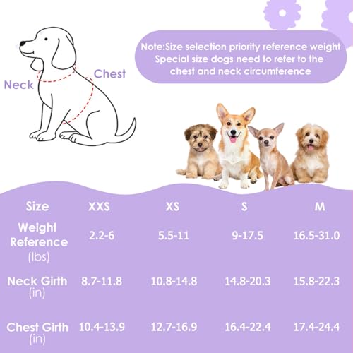 Lukovee Puppy Harness and Leash Set, No Pull, Lightweight Step in Vest | Adjustable, Soft Suede Vest, Easy Put on and off Pet Harness with Snap Buckle & 51in Leash for Small Medium Dogs (Purple, XS) - color: Purple Daisy, size: X-Small ( 5.5-11lb )