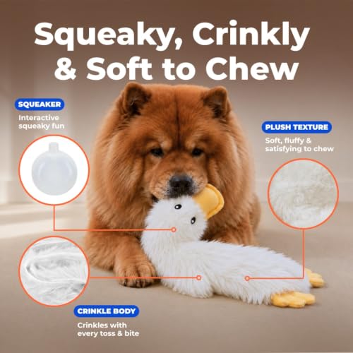 Best Pet Supplies Interactive Squeaky Dog Toy - Crinkle Duck, White | Stuffing Free Body, Soft, Squeaks & Crinkles, No Mess, Perfect for Moderate Chewers, Toss and Fetch Play - color: Crinkle Duck (White), size: Large