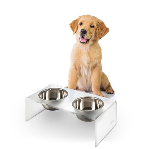 DBL2000K Keaton 5" Small/Medium Modern Acrylic Rectangular Elevated Pet Feeder with 20oz 2-Stainless Steel Bowls, Moon White/Chrome - color: Moon White/Chrome, size: 20 Ounces (5" Cups 2-Pack)