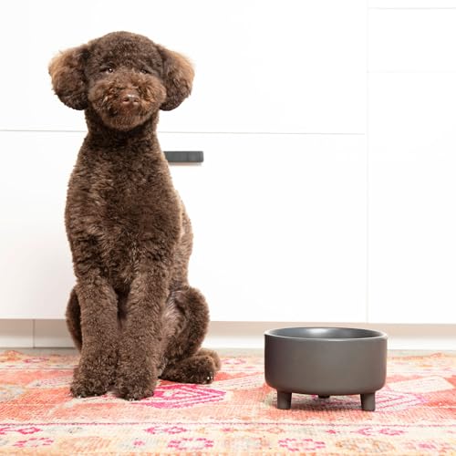 Waggo Uplift Ceramic Dog Bowl for Small Medium and Large Breeds - Heavyweight and Durable Pet Food and Water Dish Crock, Dishwasher Safe, Modern, Elevated Feeder (Olive, Small) - color: Olive, size: Small