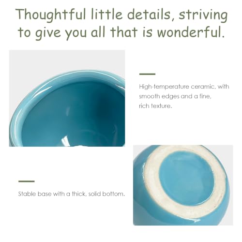 Hamster Food Bowl 2 Packs, Ceramic Slanted Bowl Food Dish Water Bowl for Dwarf Hamster Gerbil Mouse Rat Chinchilla Hedgehog Guinea Pig, Blue and Pink